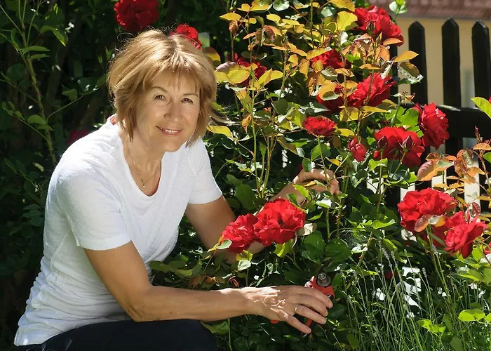 Aparthotel Schützenhof